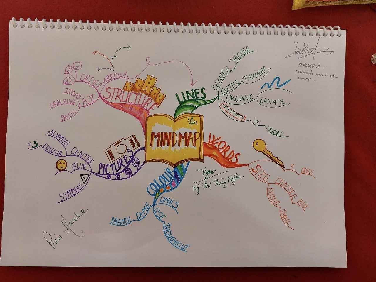 Ngân Nguyễn: Từ “không biết vẽ sơ đồ” đến chuyên gia giảng dạy bằng Mindmap